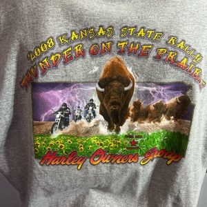 Bikers tee-xl sweet graphic with buffalo and Harley’s